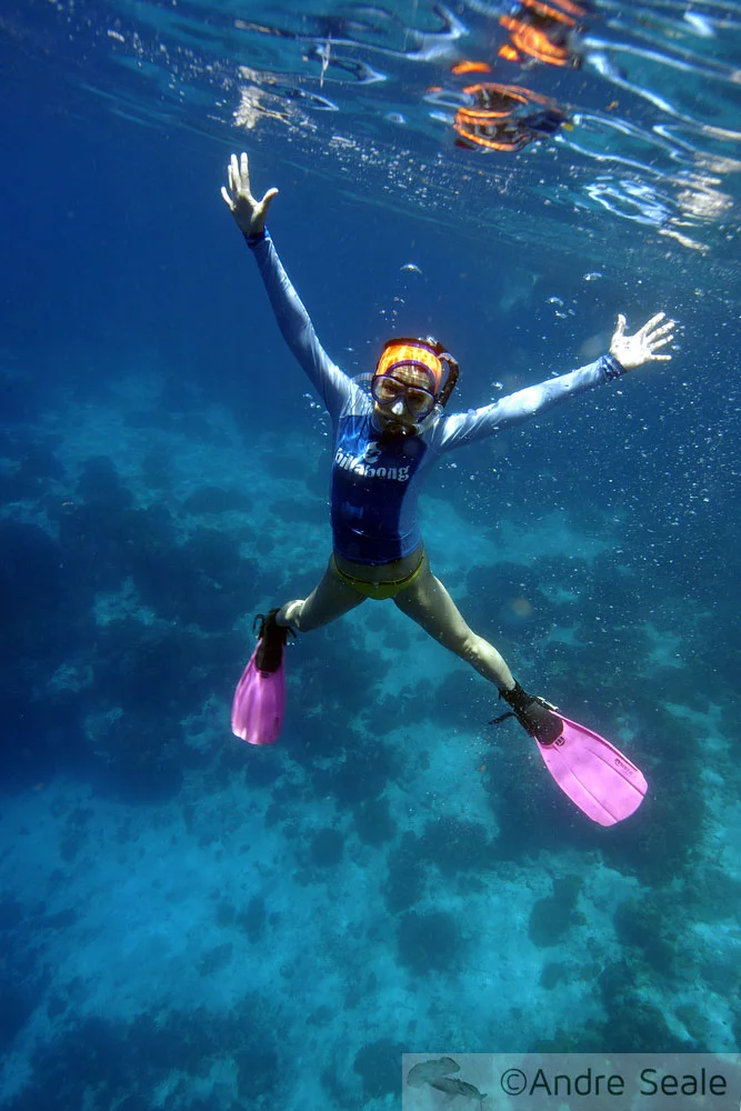 Snorkeler fazendo estrela - Apo Island