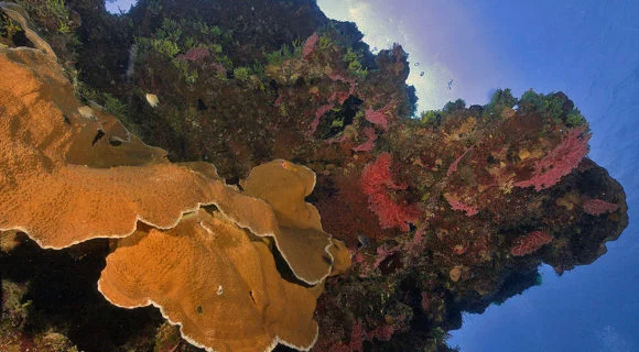 Falta de comunicação