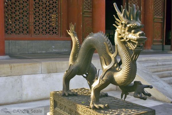 China Mãe - Beijing - Dragão na Cidade Proibida