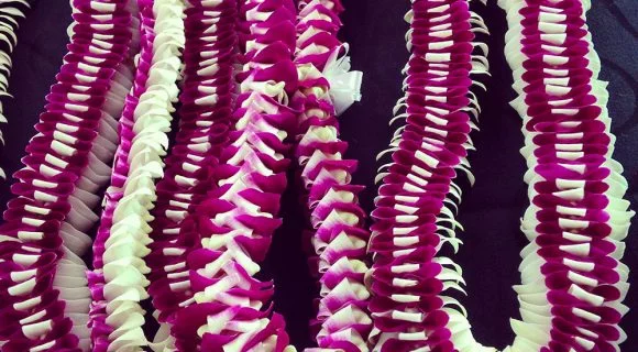 Homens não fazem leis