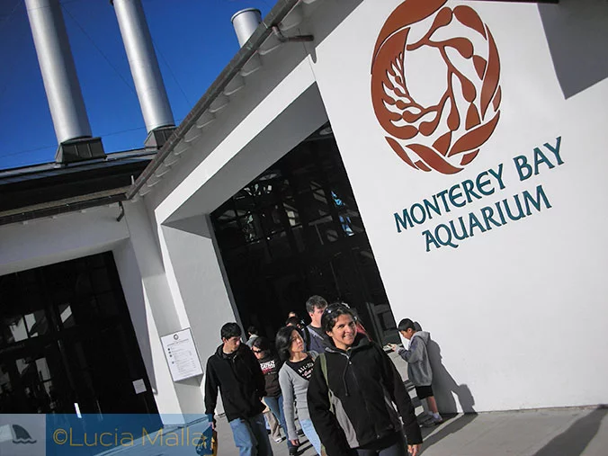 pequenas anotações de viagens virtuais 2