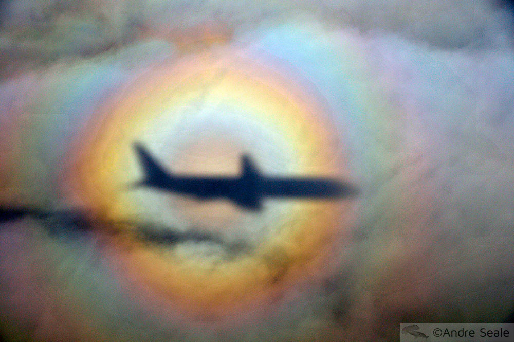 Greve dos pilotos da Asiana Airlines - nas nuvens
