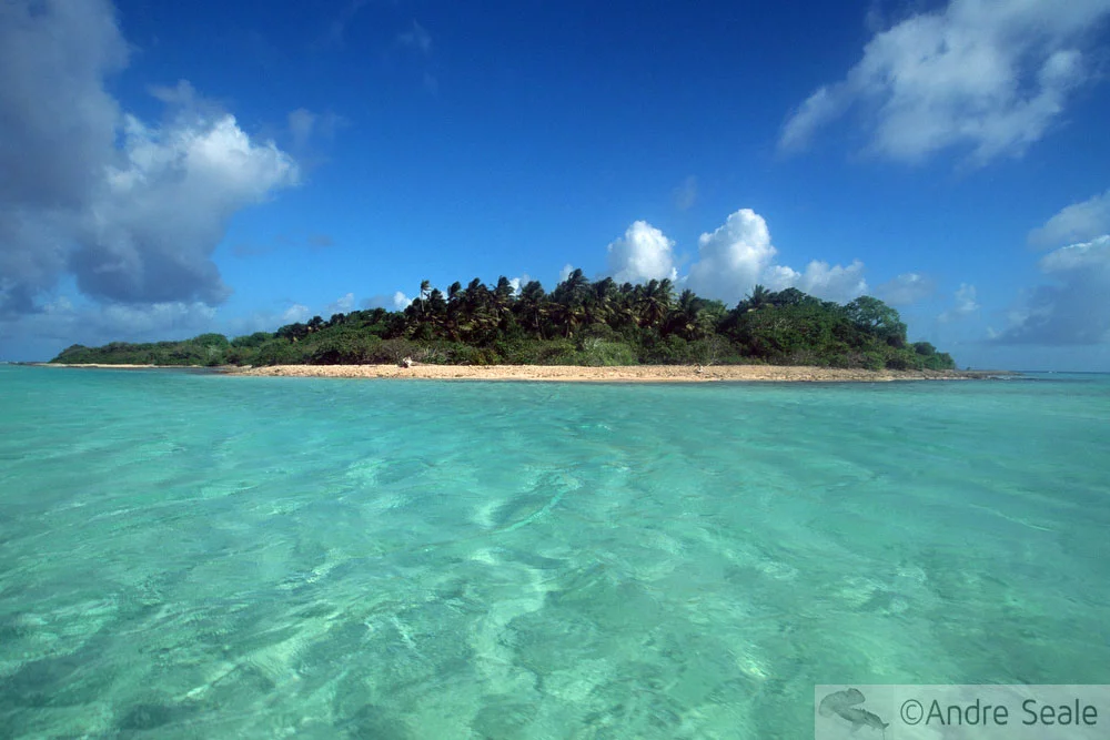 The Island - A Ilha - Clonespotting