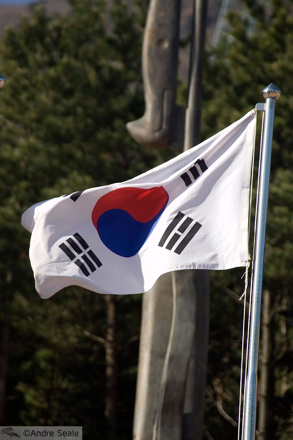 Blog da Presidência e a Academia Científica - Coréia do Sul