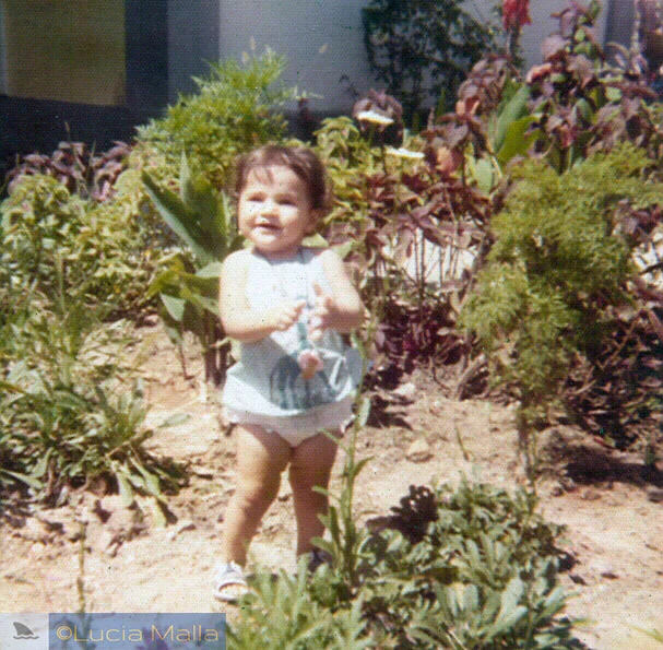 Malla versão 3.1