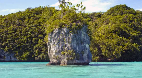 Por que Palau? Palau por quê?