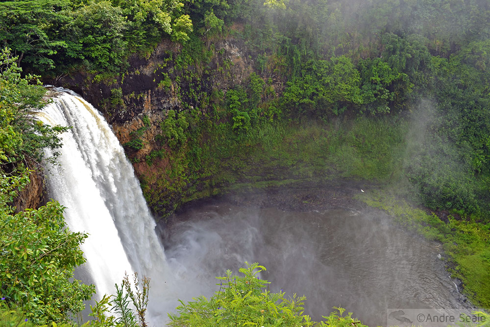 As águas do Kauai - Cachoeira de Wailua