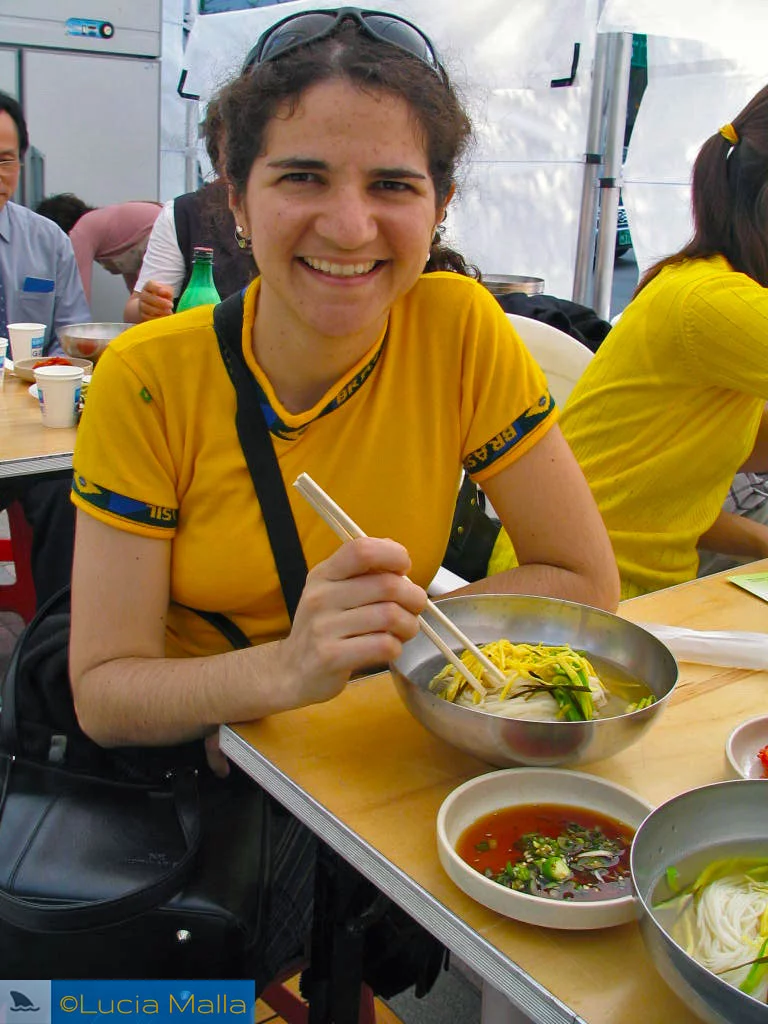 Sopa coreana