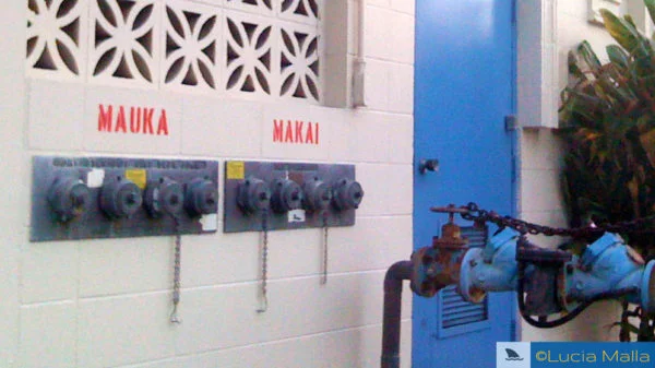 akamai