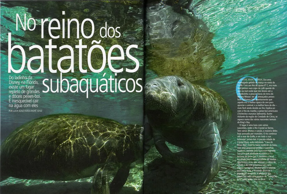 Revista Mergulho com o peixe-boi