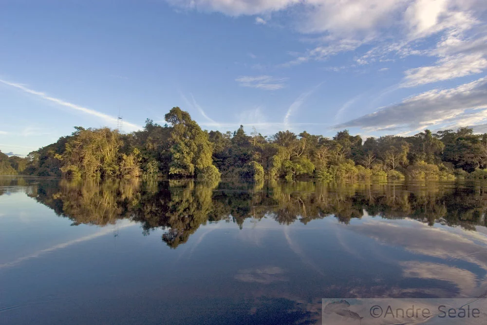 Mamirauá - Amazônia