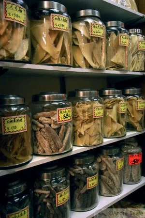 Crescer ou preservar - o dilema chinês - barbatanas de tubarão à venda