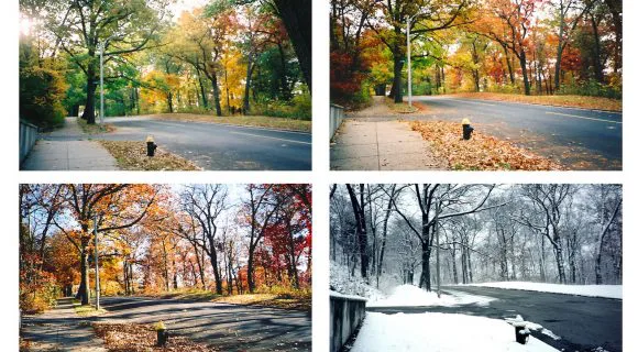 Experimentação outonal em Boston