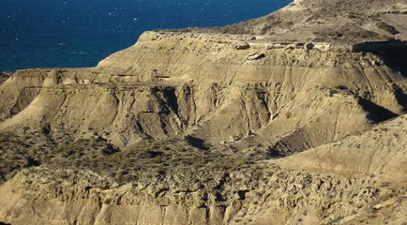 Resposta do desafio malla: Puerto Pirámides, Argentina