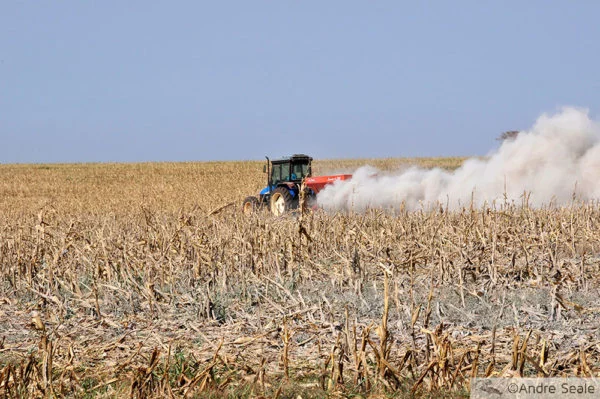 Biodiversidade e Agricultura