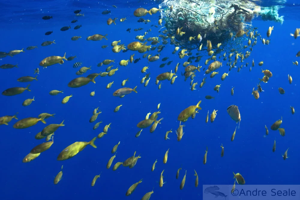 Página da Sexta Sub 2008