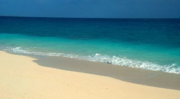 Dia Mundial dos Oceanos 2008: um “presente” Malla