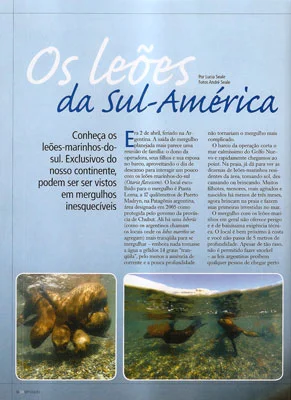 Leões marinhos na Mergulho