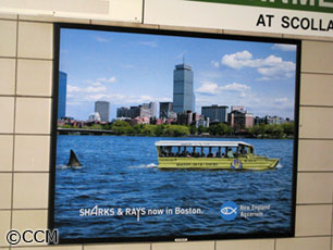 Dicas de exposição marinha - cartaz em Boston