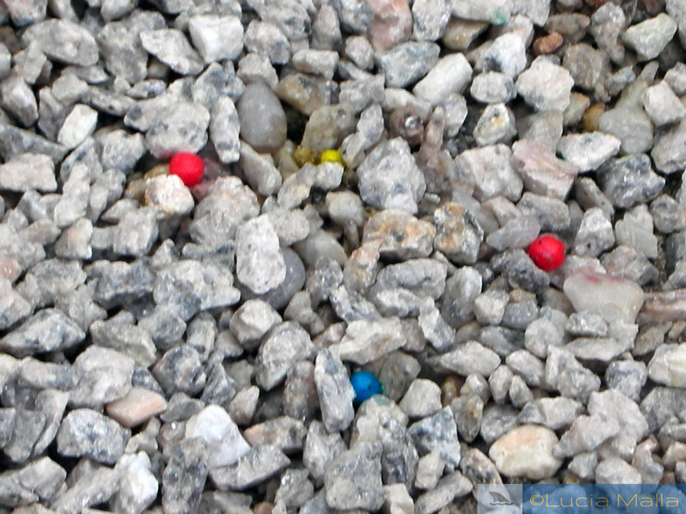 Luluzinha Camp - pedras coloridas no chão