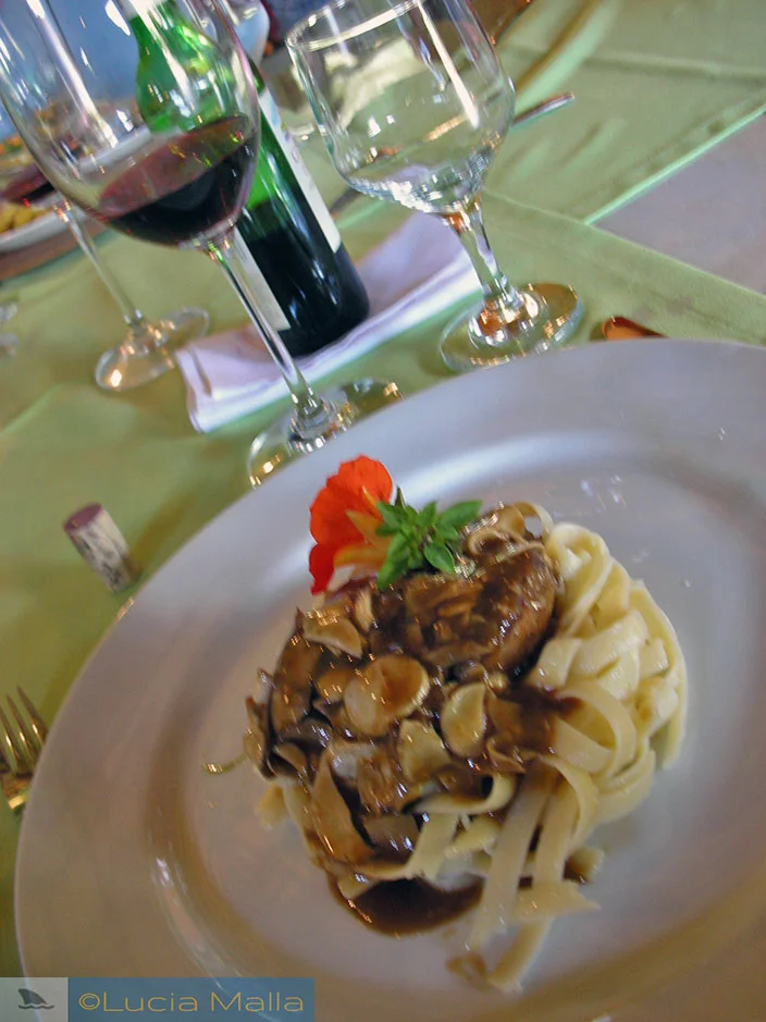 Fettuccine do Espaço Vellozia - Pedra Azul - Serra Capixaba