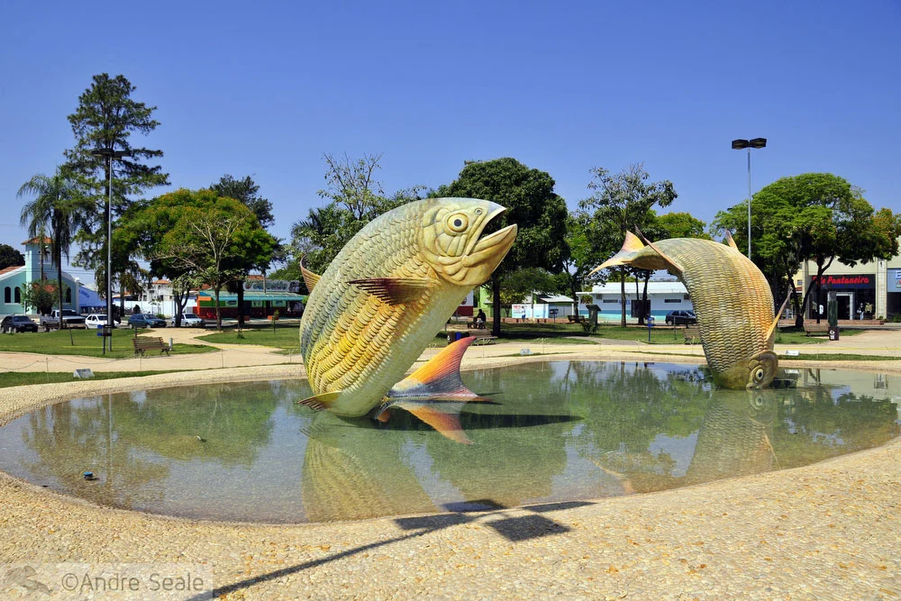 De São Paulo a Bonito - monumento às piraputangas