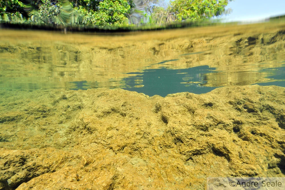 Paisagem submersa do Balneário Municipal de Bonito.