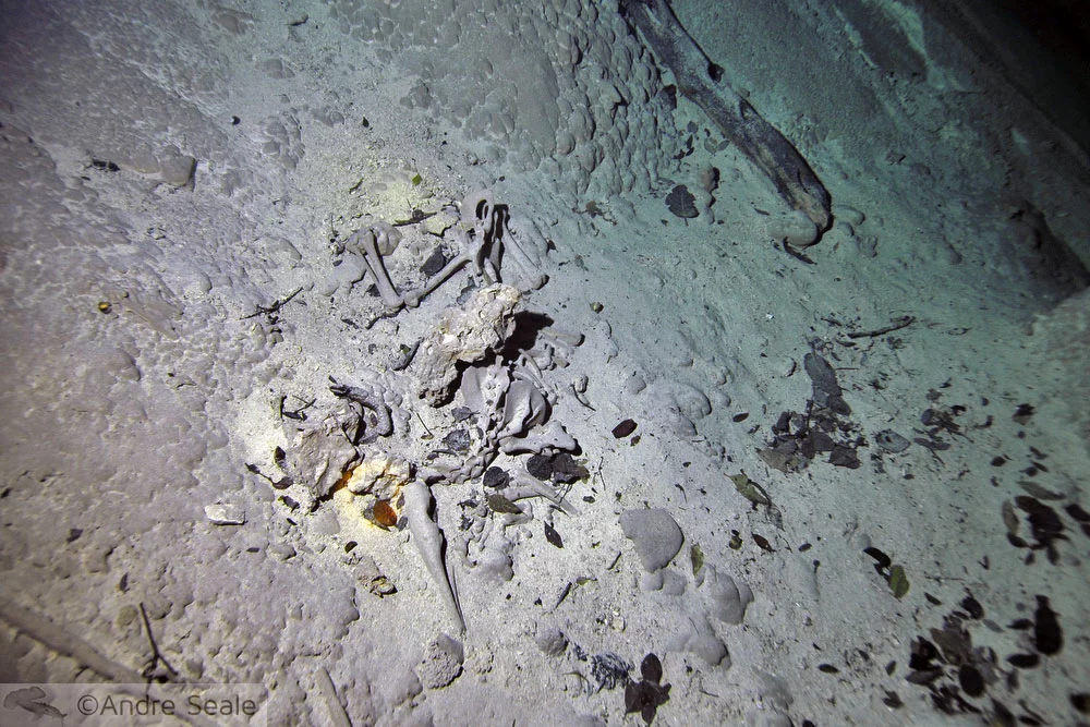 Aventura no Abismo Anhumas - esqueleto submerso