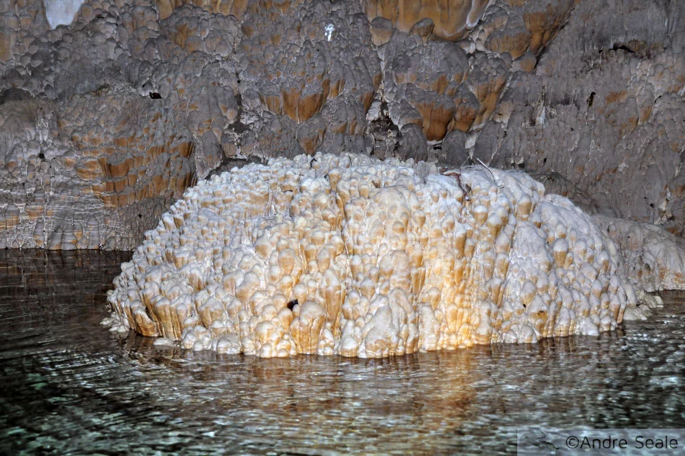 Mergulho no Abismo Anhumas - formações espeleológicas