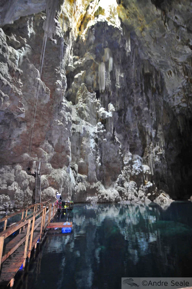Rapel e mergulho no Abismo Anhumas - Bonito - MS