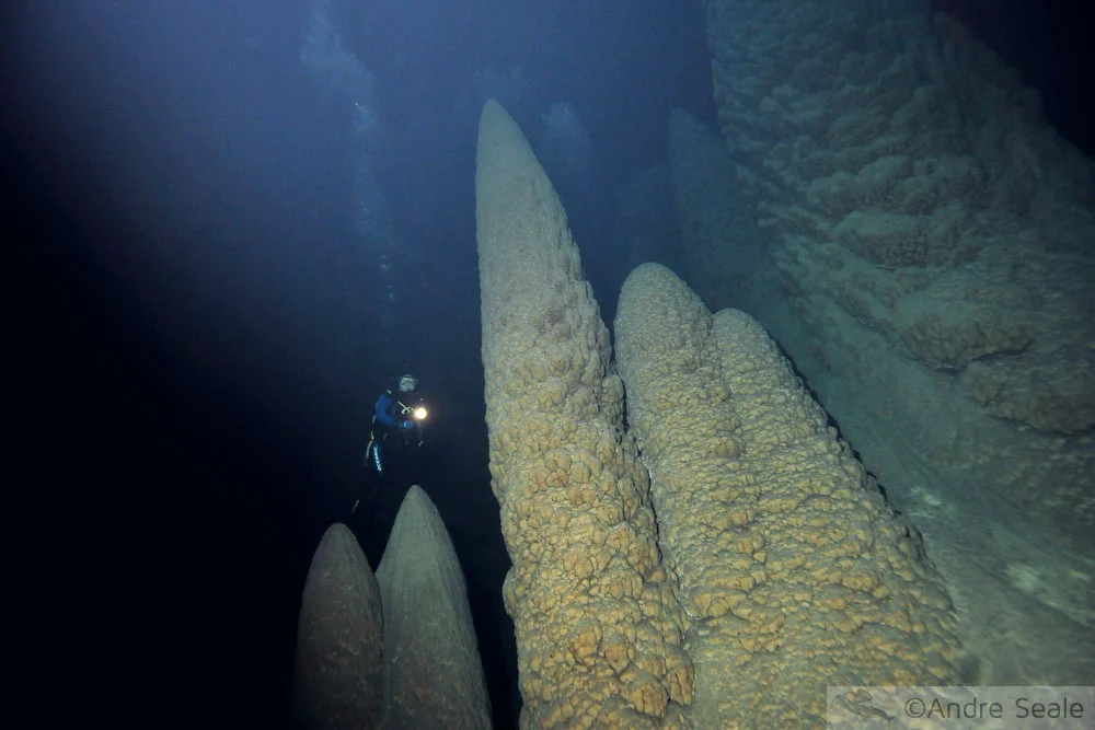 Mergulho no Abismo Anhumas - Bonito MS