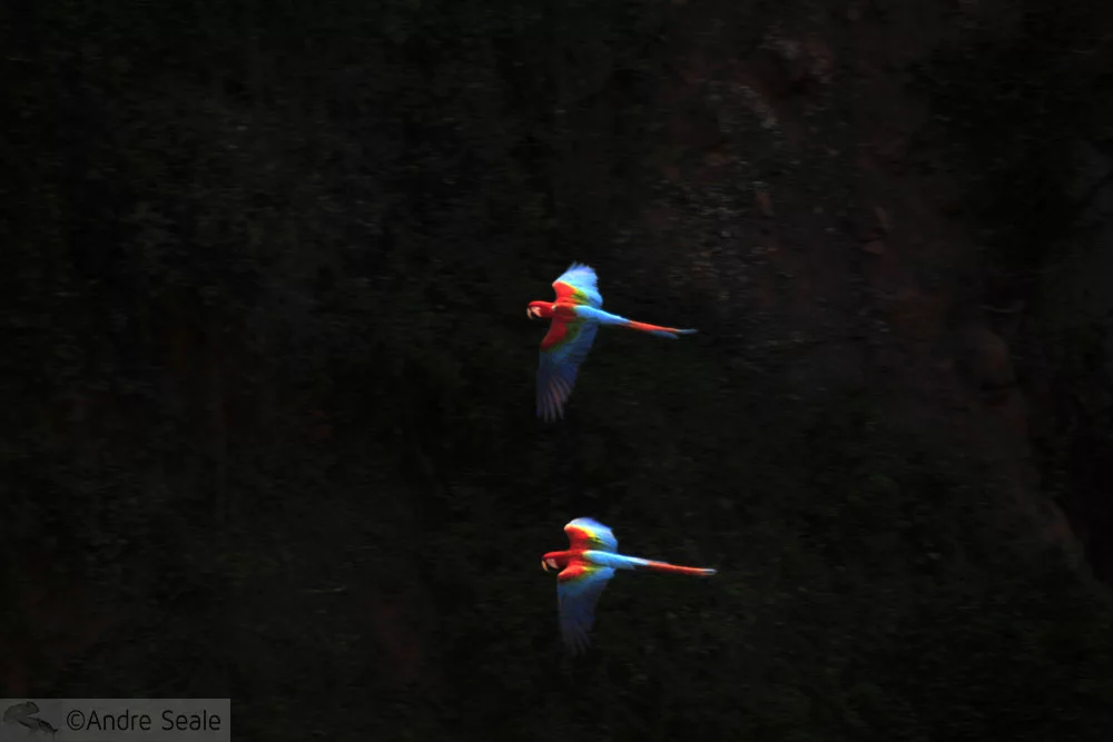 Passeio No Buraco das Araras