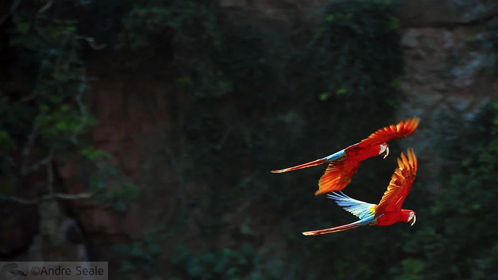 No Buraco das Araras - Bonito MS