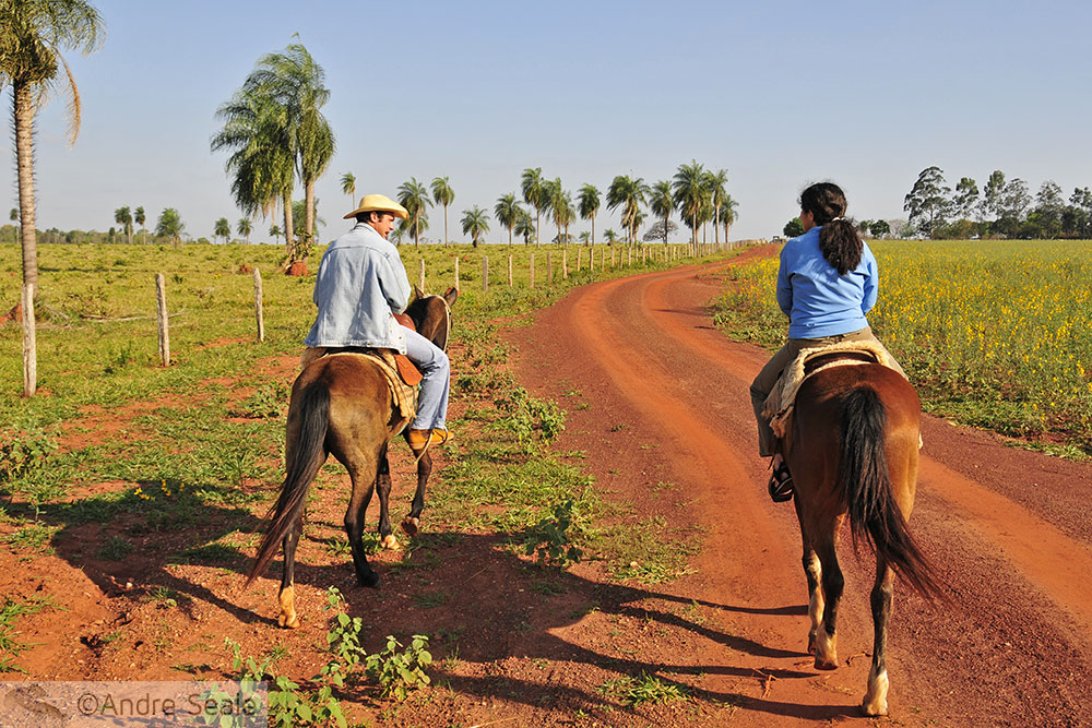 Cavalgada no Pantanal - Mato Grosso do Sul