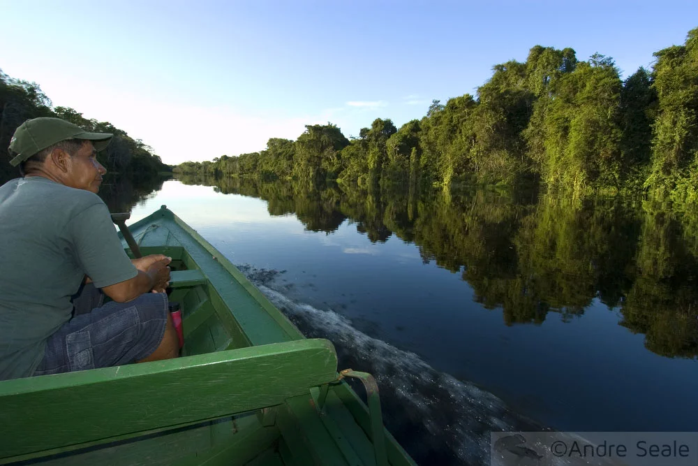 Em Mamirauá - Amazônia de canoa