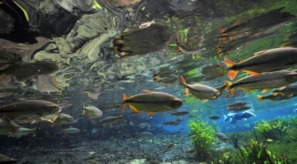 Sexta Sub: Aquário derretido