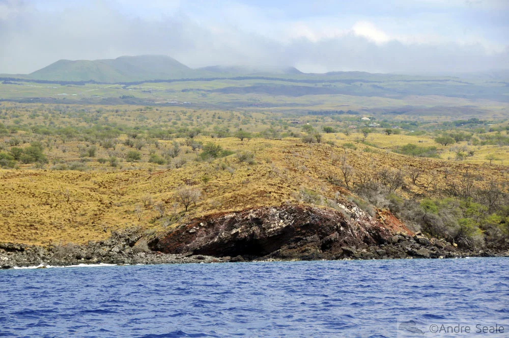 No mar de Kailua-Kona - costão da Big Island do Havaí