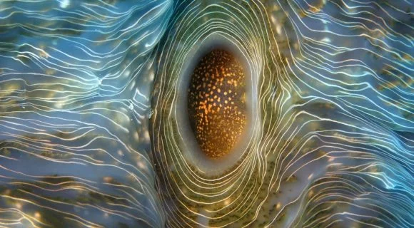 Em Marano Lagunare – Asferico 2009