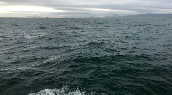 Divagações sobre pirataria