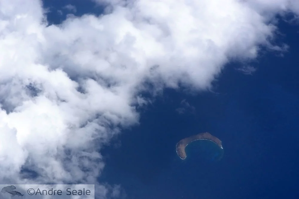 Molokini aéreo - Maui