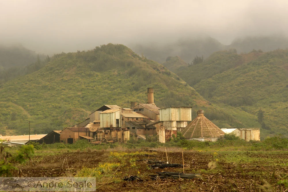 O que é o Havaí? - usina de cana de açúcar