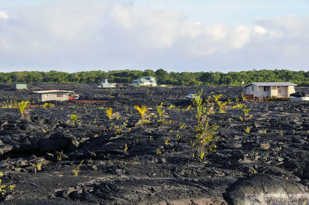 Kapalana - Big Island - Havaí