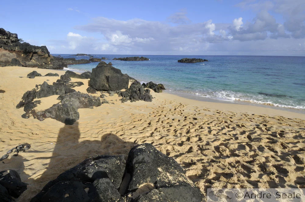 Canto esquerdo de Waimea Bay - Havaí