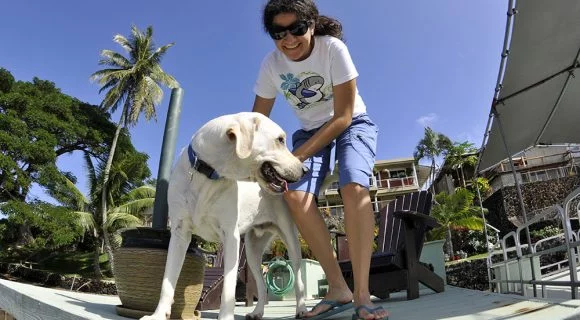 Fotolog atrasado do fim de ano