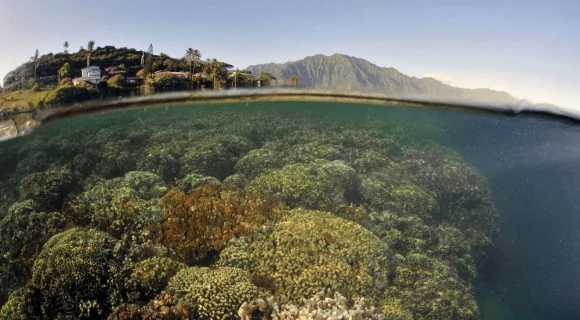 Sexta Sub: work commute