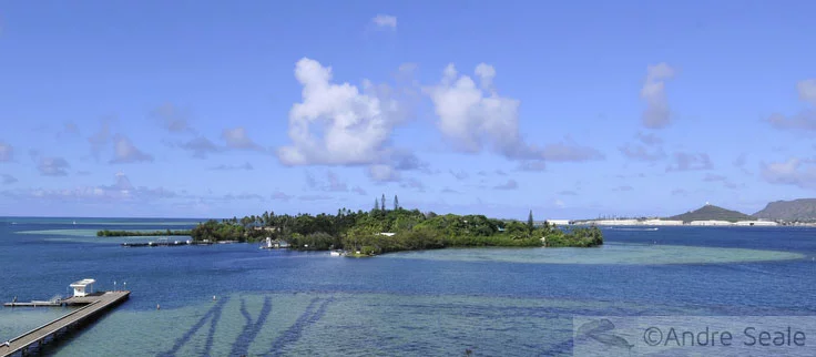 Coconut Island - a ilha dos Outros