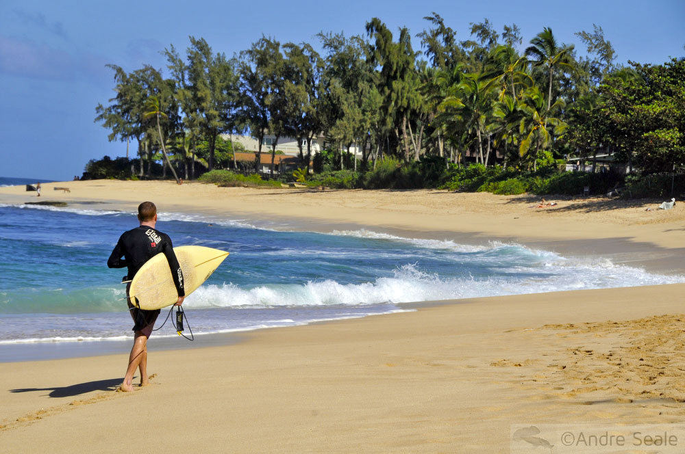 Surfe no North Shore de Oahu