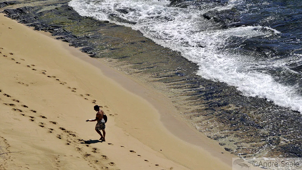 Violeiro na praia - Tsunami no Havaí