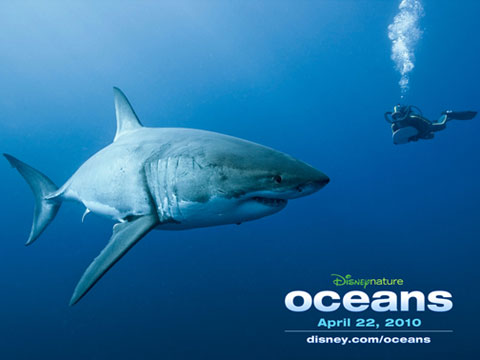 Oceans - Campanha Abrace um tubarão