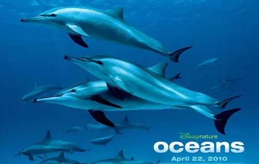 No Dia da Terra, um mergulho no mar